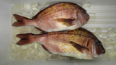 極寒の釣り堀田尻